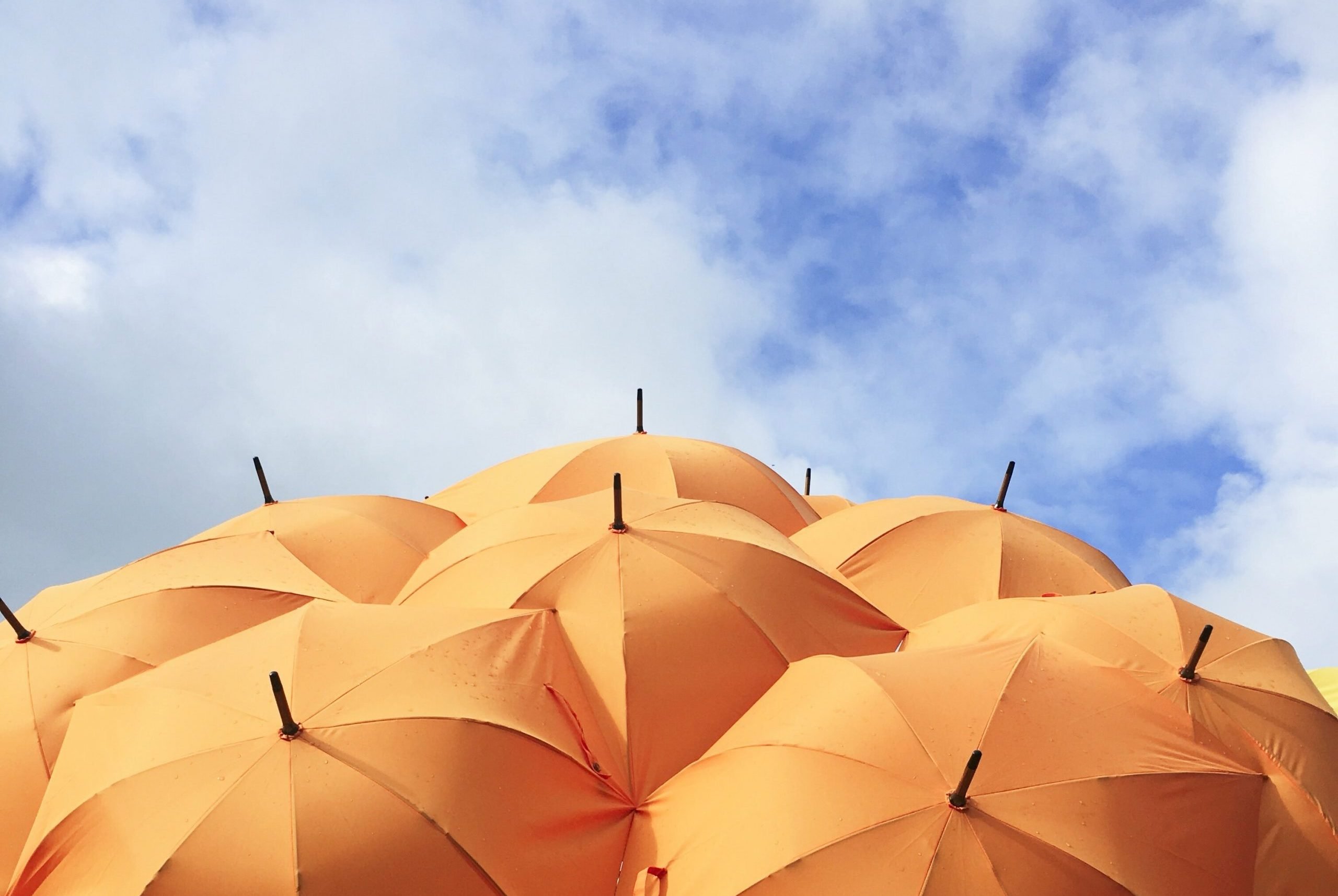 Cloud Security Umbrella